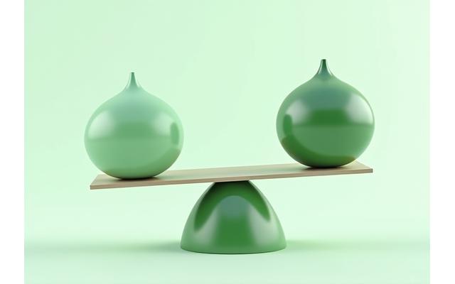 Abstract illustration of a balanced seesaw where one side represents 'VerdeluxeHarmonia Bloom Responsibilities' and the other 'User Responsibilities', emphasizing partnership and shared understanding. Clean lines, soft gradients.